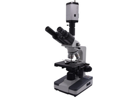 WF10X CCD 40X 0,65 Mikroskop do analizy krwi na żywo Cyfrowy film biologiczny