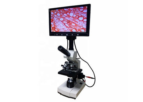 WF10X 2000X Lab Mikroskop Biologiczny Lcd Mikroskop Cyfrowy Analiza Komórek Krwi
