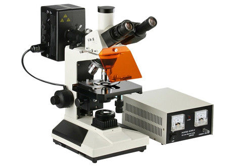 Mikroskop laboratoryjny do epi-fluorescencji 4X 100X Mikroskop świetlny Biologia