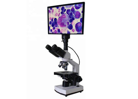 Dyskusja biologiczna mikroskopu LCD WF10X 400X Mikroskop jasnego pola Dyskusja biologiczna