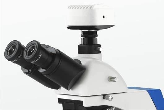 Zintegrowany mikroskop biologiczny z polaryzacją ciemnego pola 4 pozycja