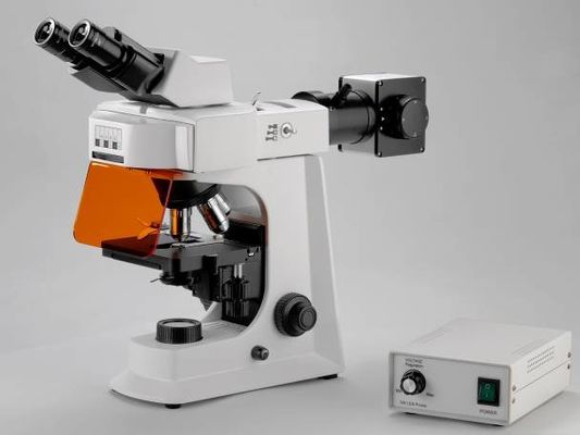 Biały mikroskop biologiczny trójokularowy laboratoryjny ze stopniem mechanicznym