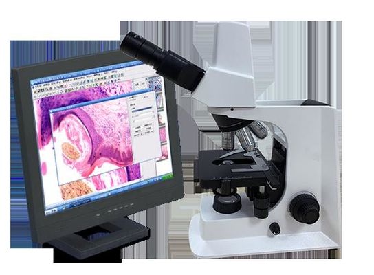Biały mikroskop biologiczny trójokularowy laboratoryjny ze stopniem mechanicznym