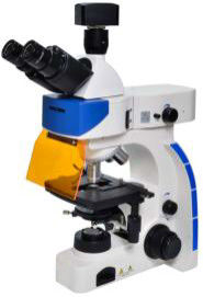 Mikroskop laboratoryjny Trinocular Biology 40X 100X Epi Mikroskop Fluorescencyjny
