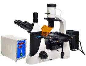 Mikroskop fluorescencyjny Epi LED Trinocular 40X 1000X Mikroskop laboratoryjny do biologii